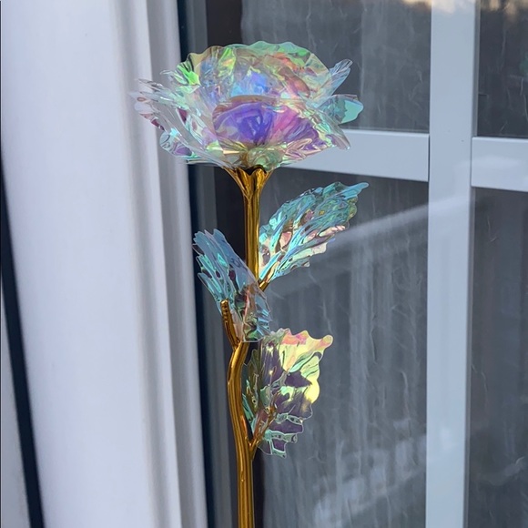 Beverly Hills Dose of Roses - Picture 1 of 4